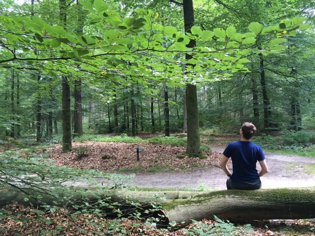 Praktijk Weij werkwijze