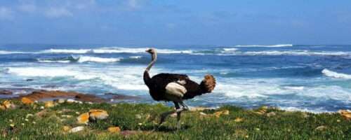 Energiewerk maakt vrij