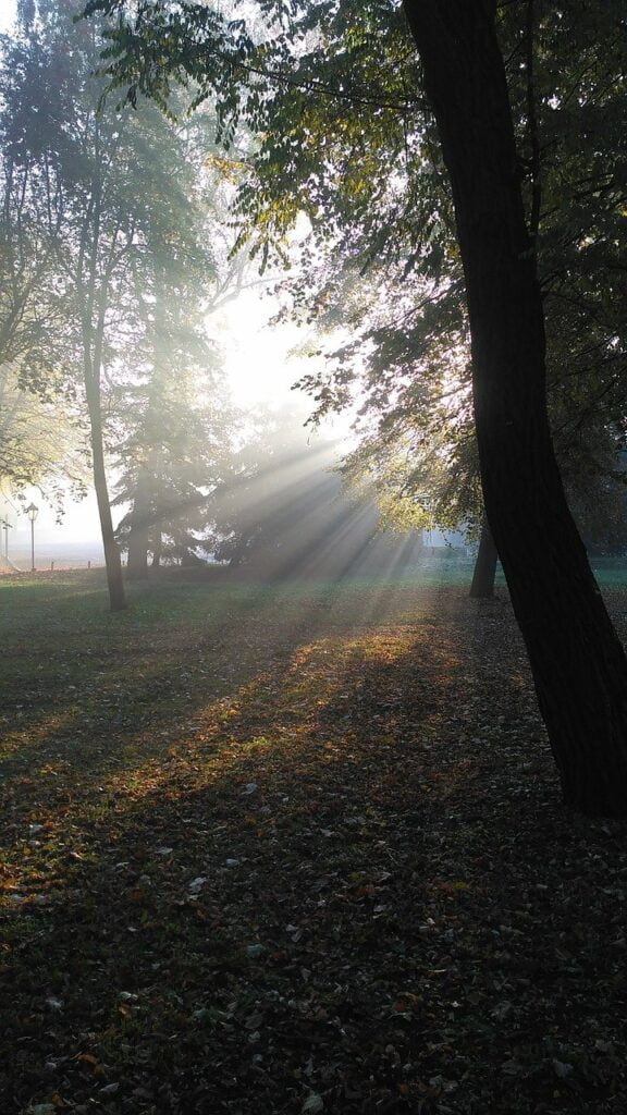 Feedback Praktijk Weij