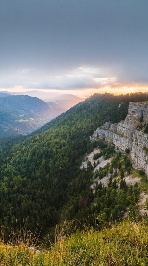 Praktijk Weij feedback