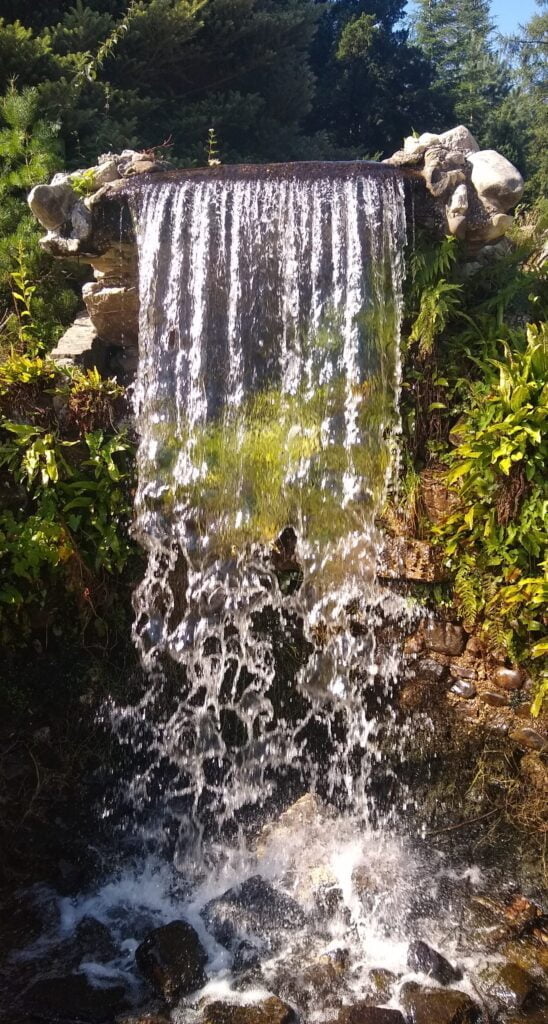 Review Praktijk Weij