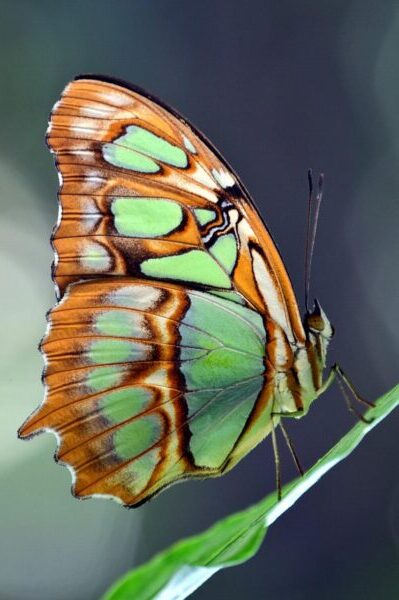 Praktijk Weij feedback