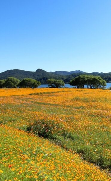 Energetische Therapie